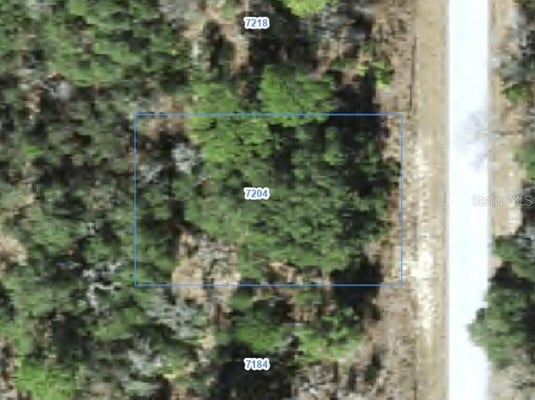 7204 N RIPLEY DR, DUNNELLON, FL 34433 - Image 75bc95edd3e4acf2c0ead38b5bb743fe/2937185738