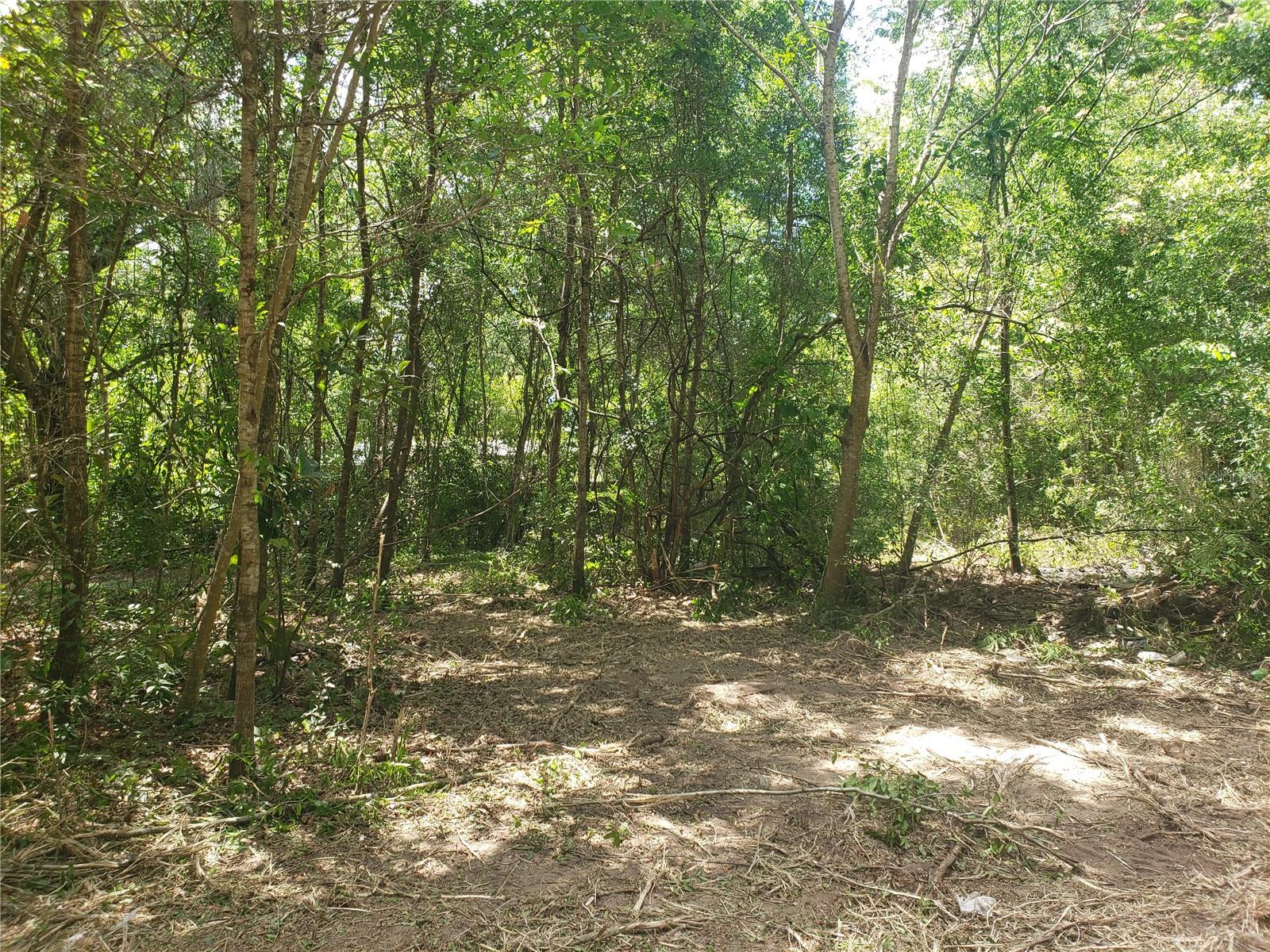 OCALA PARK RANCHETTES - Residential