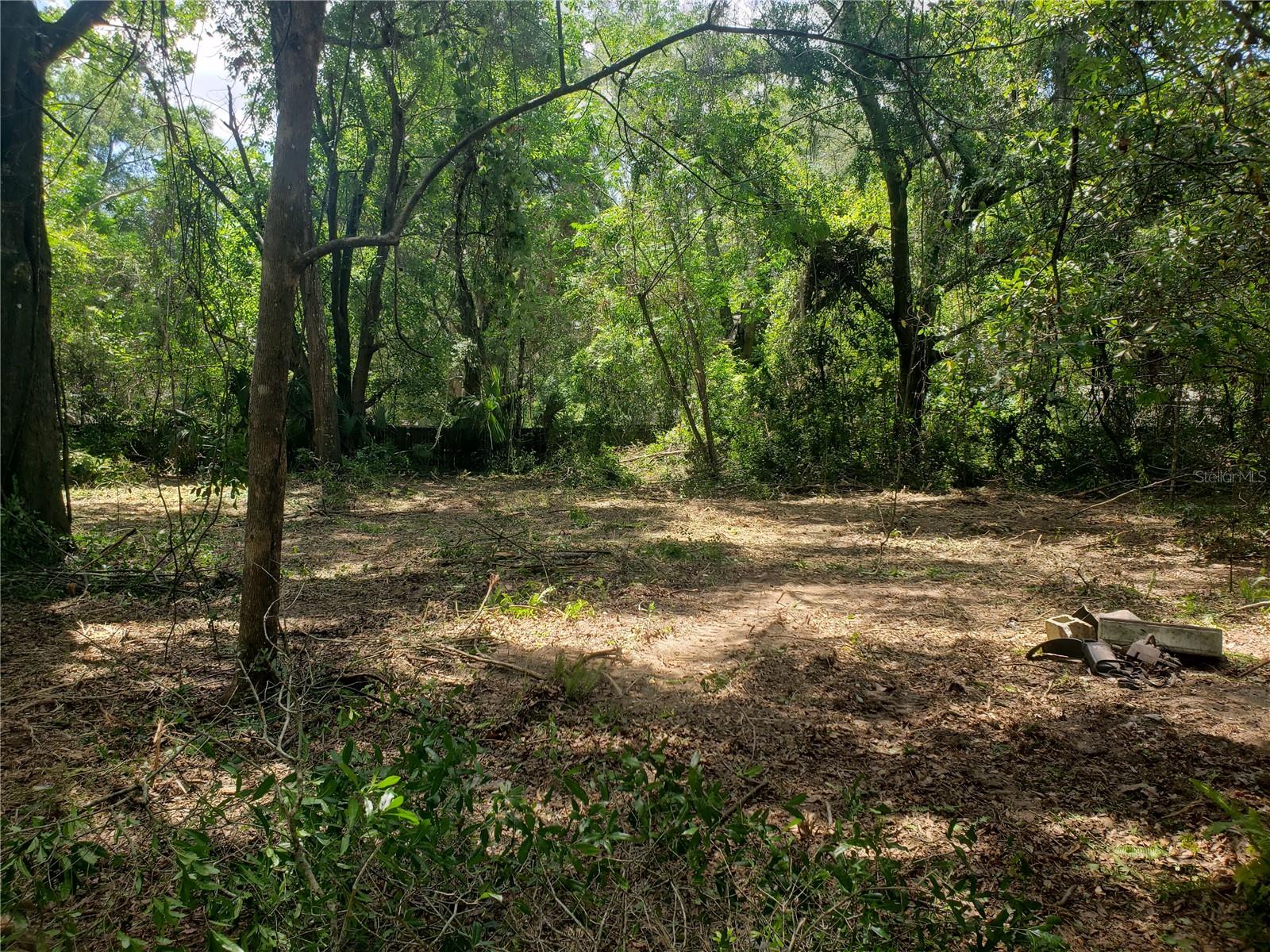 OCALA PARK RANCHETTES - Residential