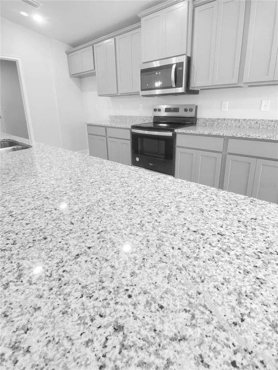 4434 SAGEFIELD DRIVE