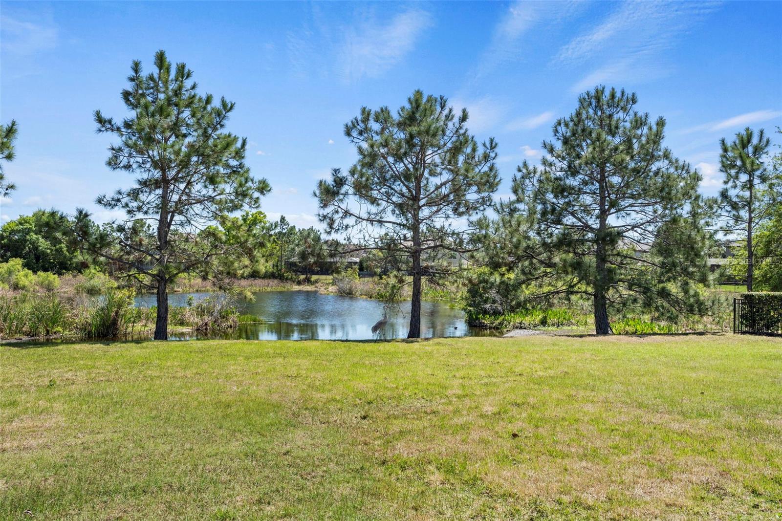 OLD MEMORIAL SUB PH - Residential