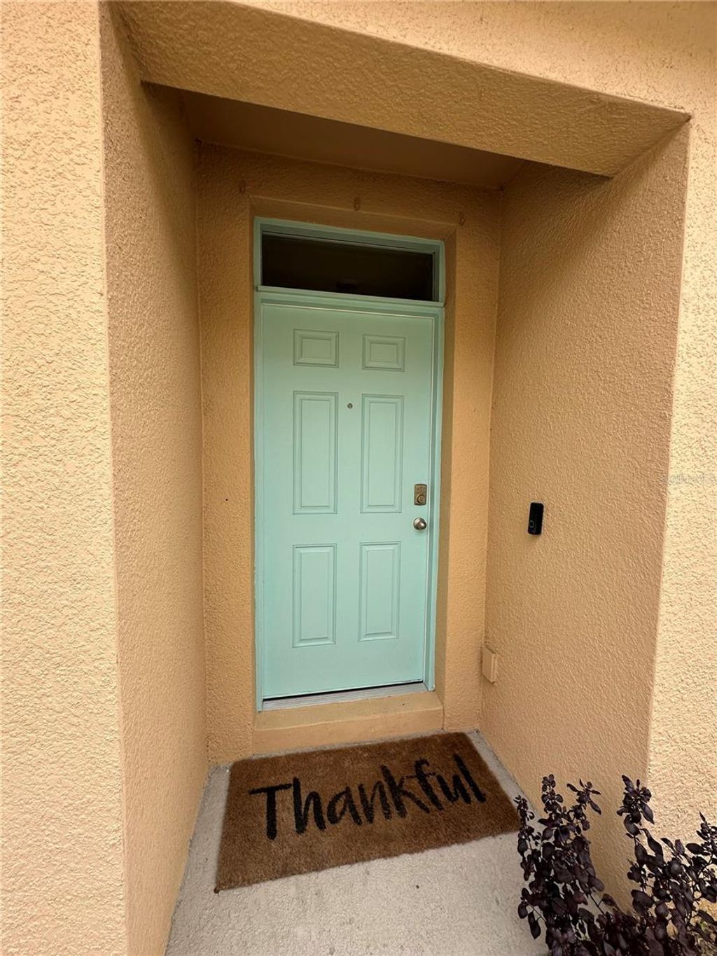 Photo of 224 Meghan Circle, Deland, FL 32724 (MLS # O6363858)