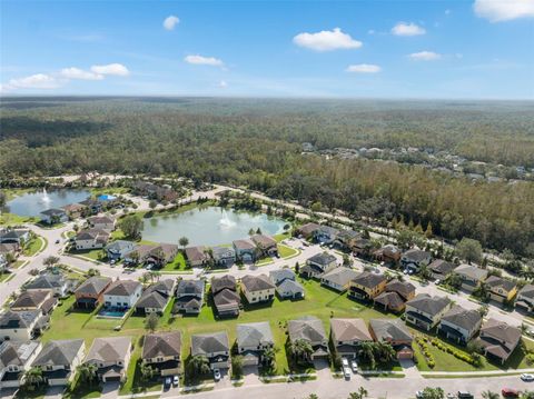 A home in TAMPA