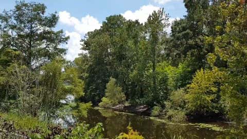 Tiny photo for 9438 SE Hwy 464c SE, Ocklawaha, FL 32179 (MLS # OM729641)