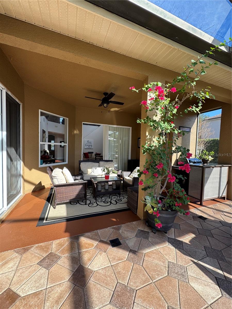 MAGNOLIA PLANTATION - Residential