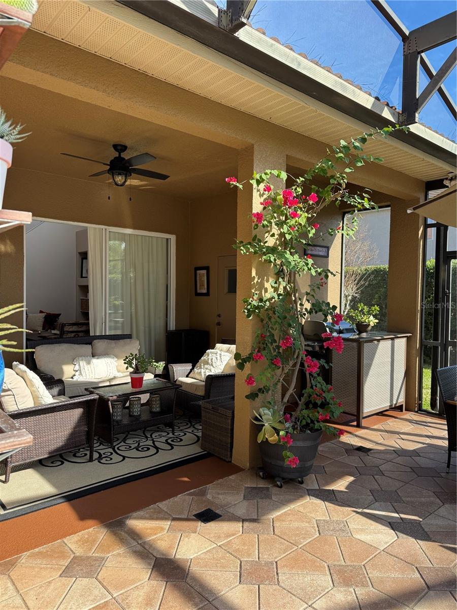 MAGNOLIA PLANTATION - Residential