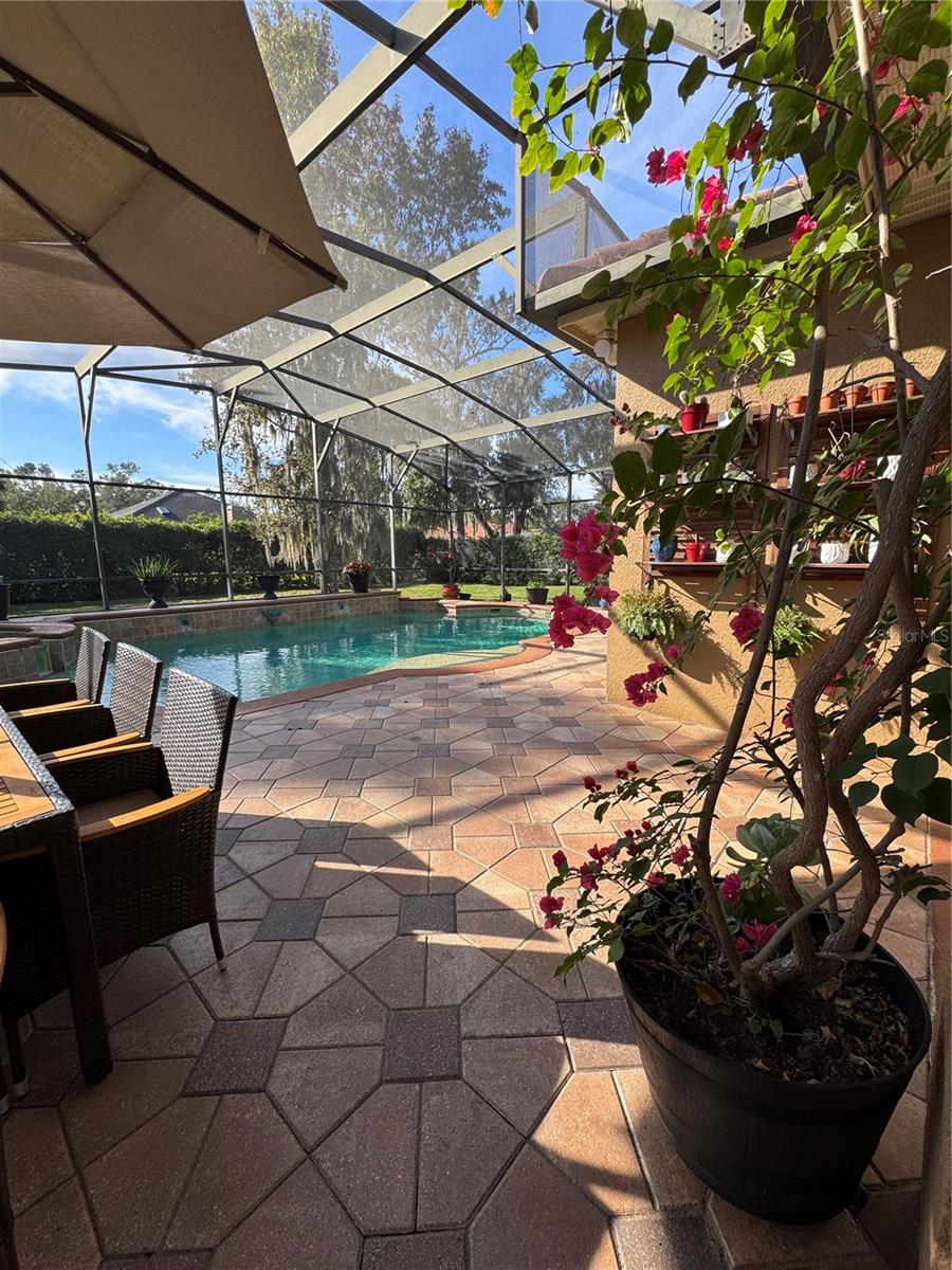 MAGNOLIA PLANTATION - Residential