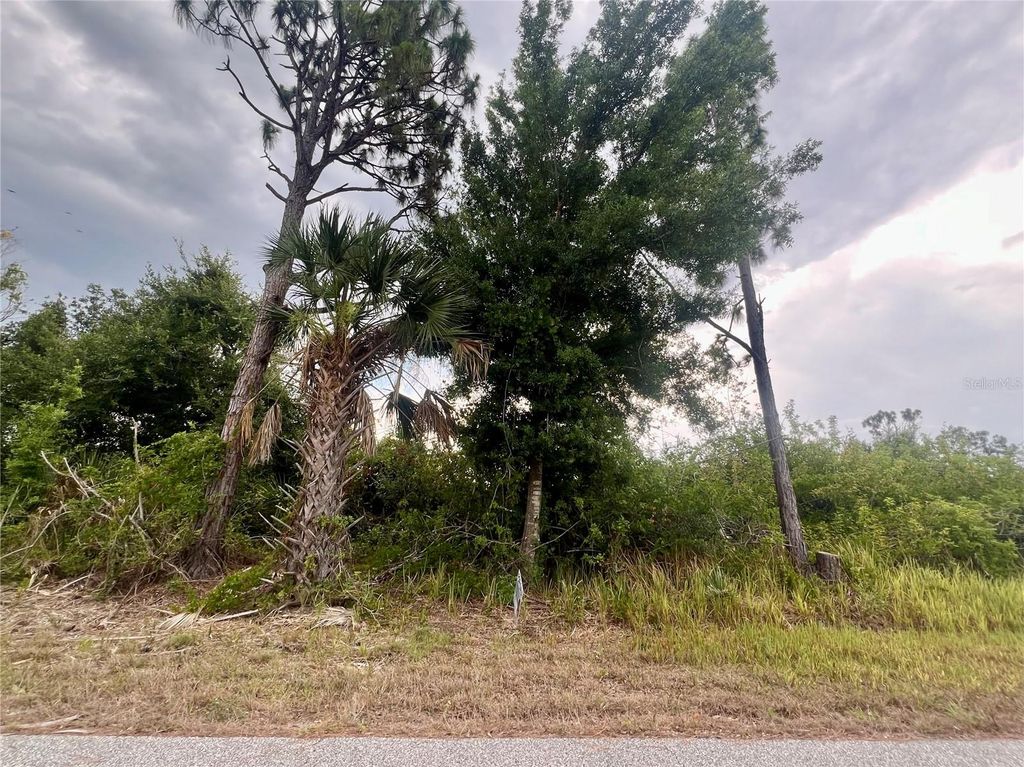 Photo of 7370 Sioux Street, Port Charlotte, FL 33981 (MLS # C7527323)