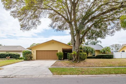 Photo of 2825 Long View Drive, Clearwater, FL 33761 (MLS # TB8480774)