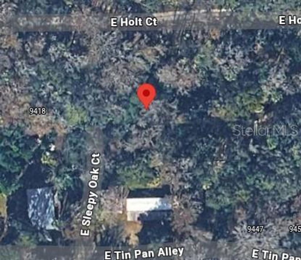 Photo of 9436 E Sleepy Oak Court, Inverness, FL 34453 (MLS # W7884488)