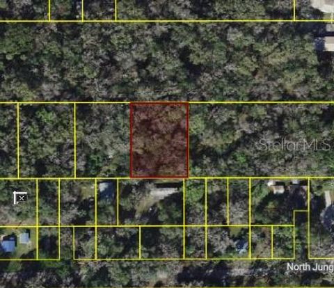 Photo of 9436 E Sleepy Oak Court, Inverness, FL 34453 (MLS # W7884488)