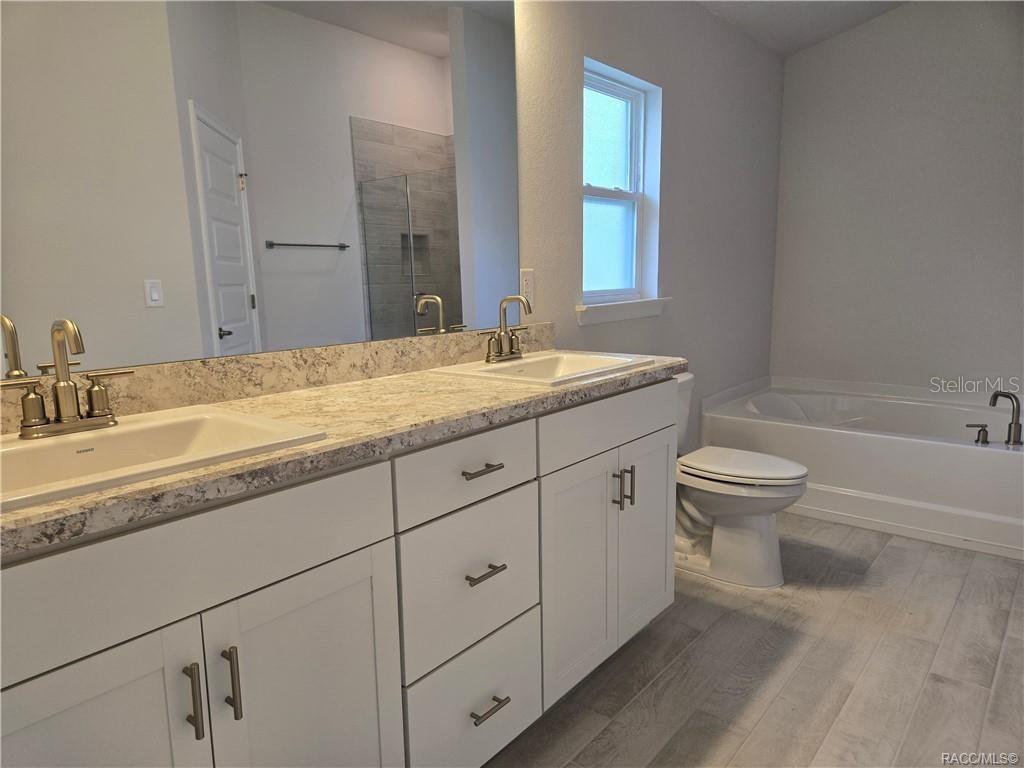 WYLD PALMS - Residential