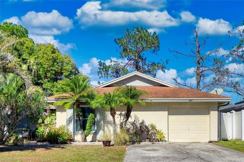 A home in TAMPA