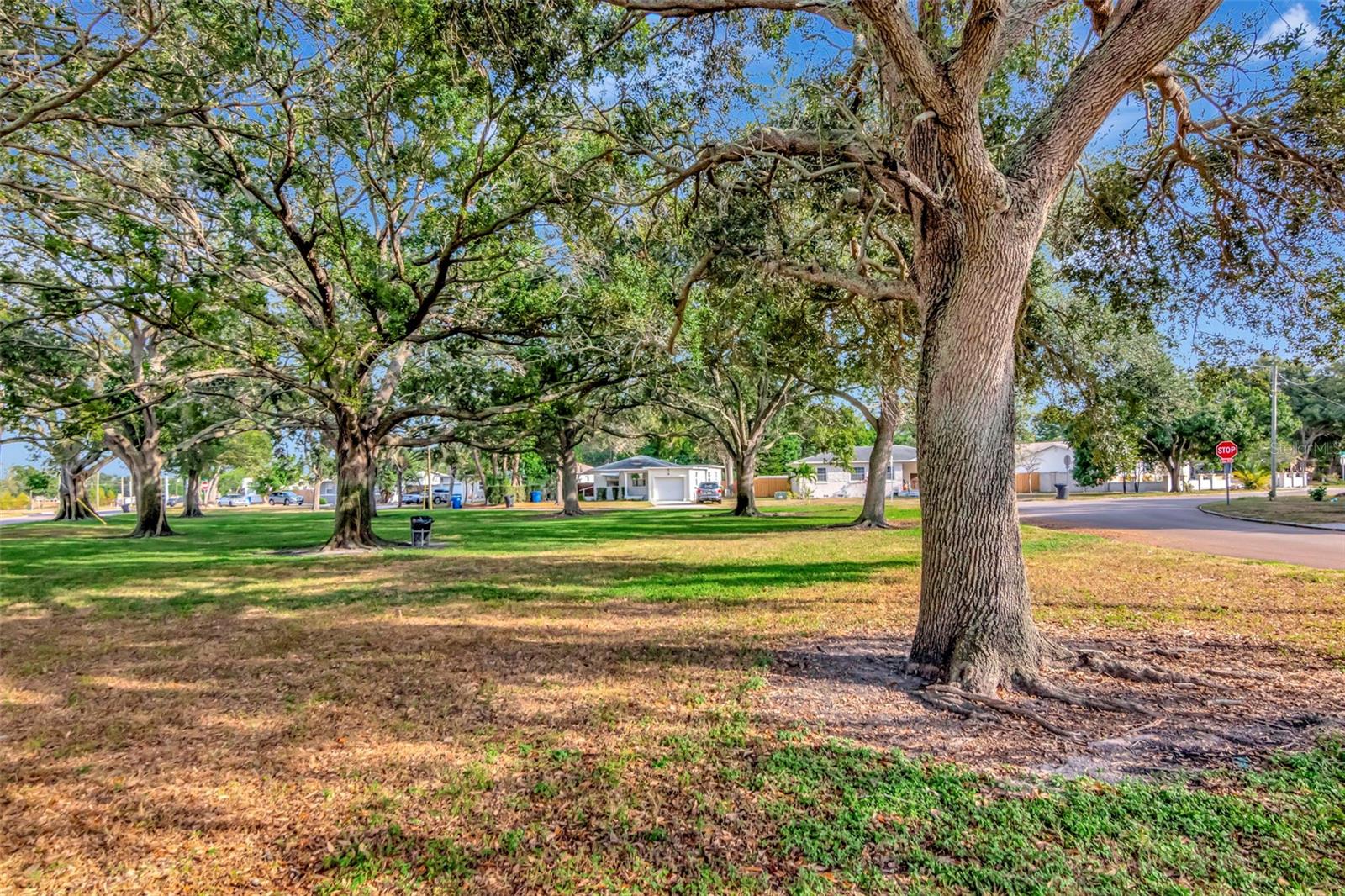 FLORAL VILLA ESTATES - Residential