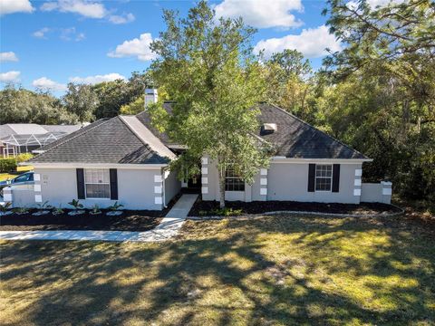 Photo of 83 Greentree Street, Homosassa, FL 34446 (MLS # W7880514)