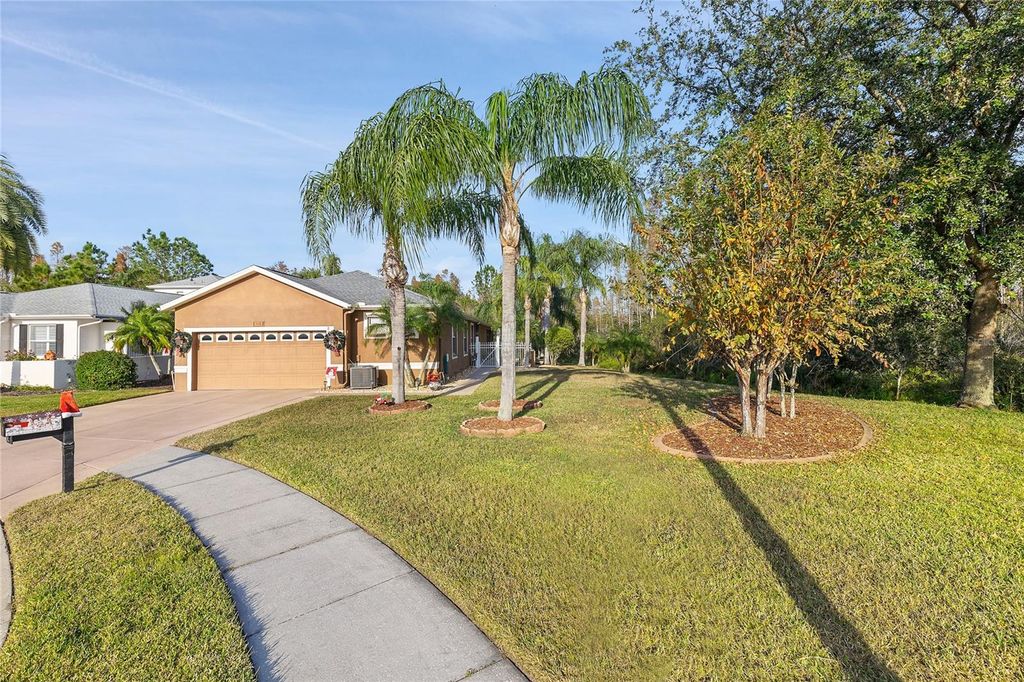 Photo of 8432 Tarocco Court, Land O Lakes, FL 34637 (MLS # W7879238)