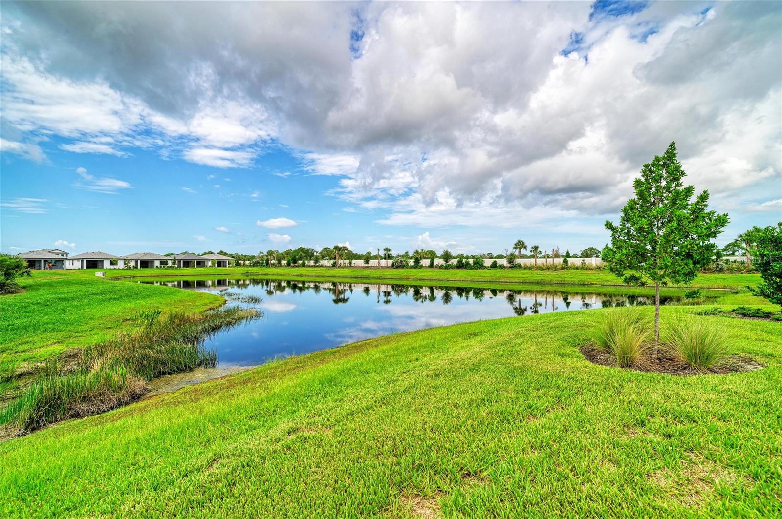 14213 EAGLE BRANCH DRIVE
