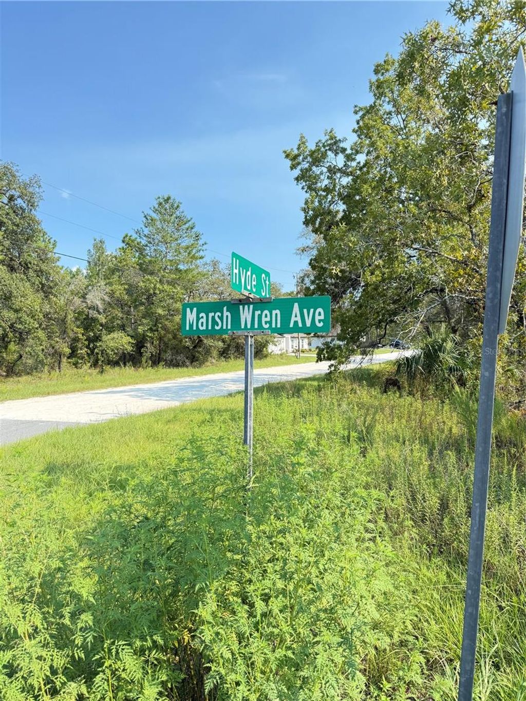 Photo of 11096 Marsh Wren Avenue, Weeki Wachee, FL 34614 (MLS # TB8420558)