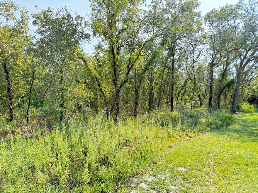 This is the perfect corner lot to build your future home! This lightly wooded is a blank canvas. There are lots of builders in the area or bring your own, the options are endless!! Not in a Flood Zone and on a paved road!