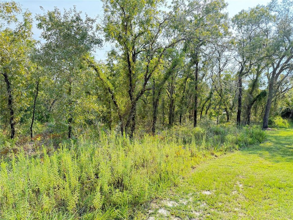 Photo of 11096 Marsh Wren Avenue, Weeki Wachee, FL 34614 (MLS # TB8420558)