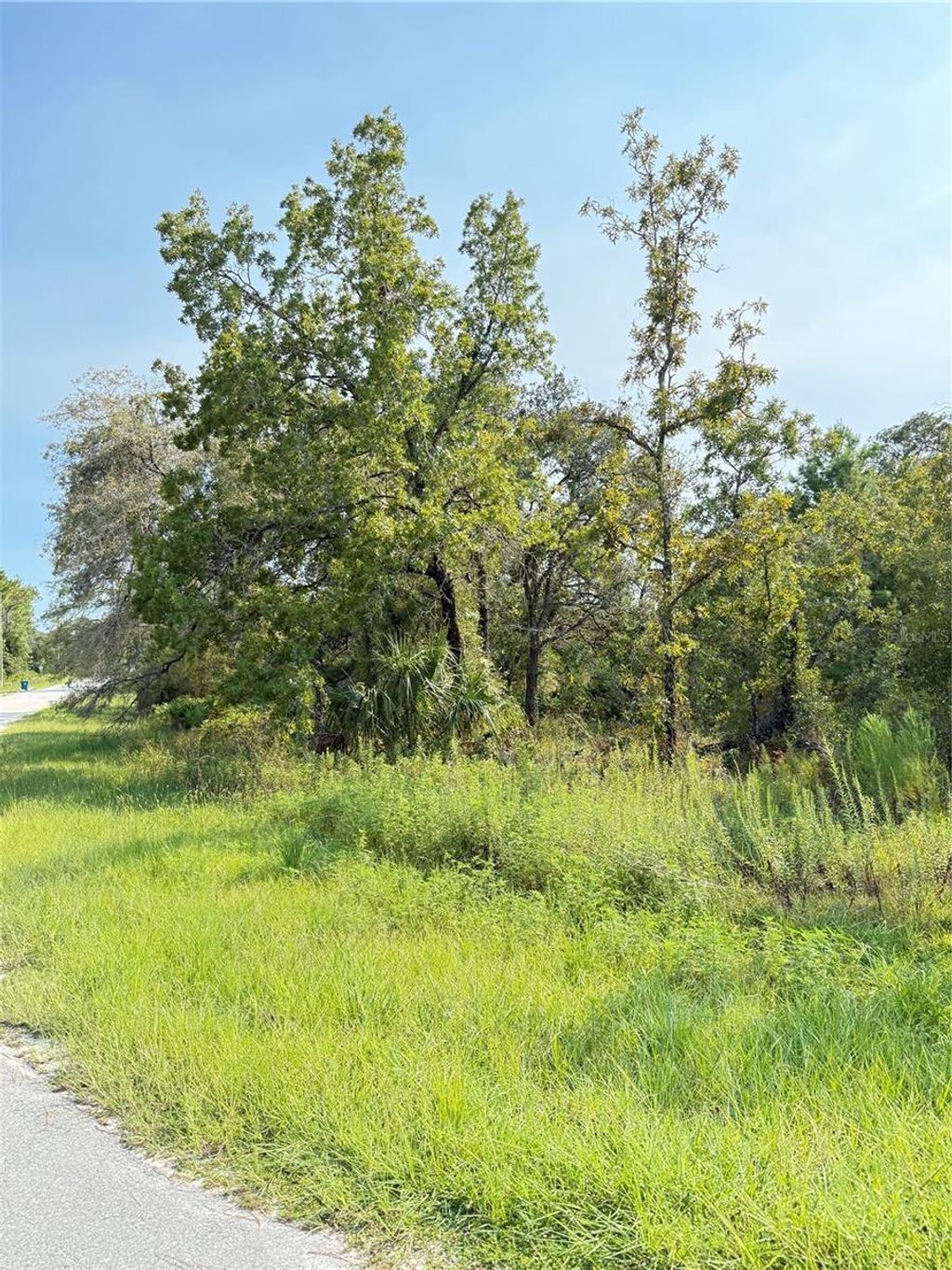 Photo of 11096 Marsh Wren Avenue, Weeki Wachee, FL 34614 (MLS # TB8420558)