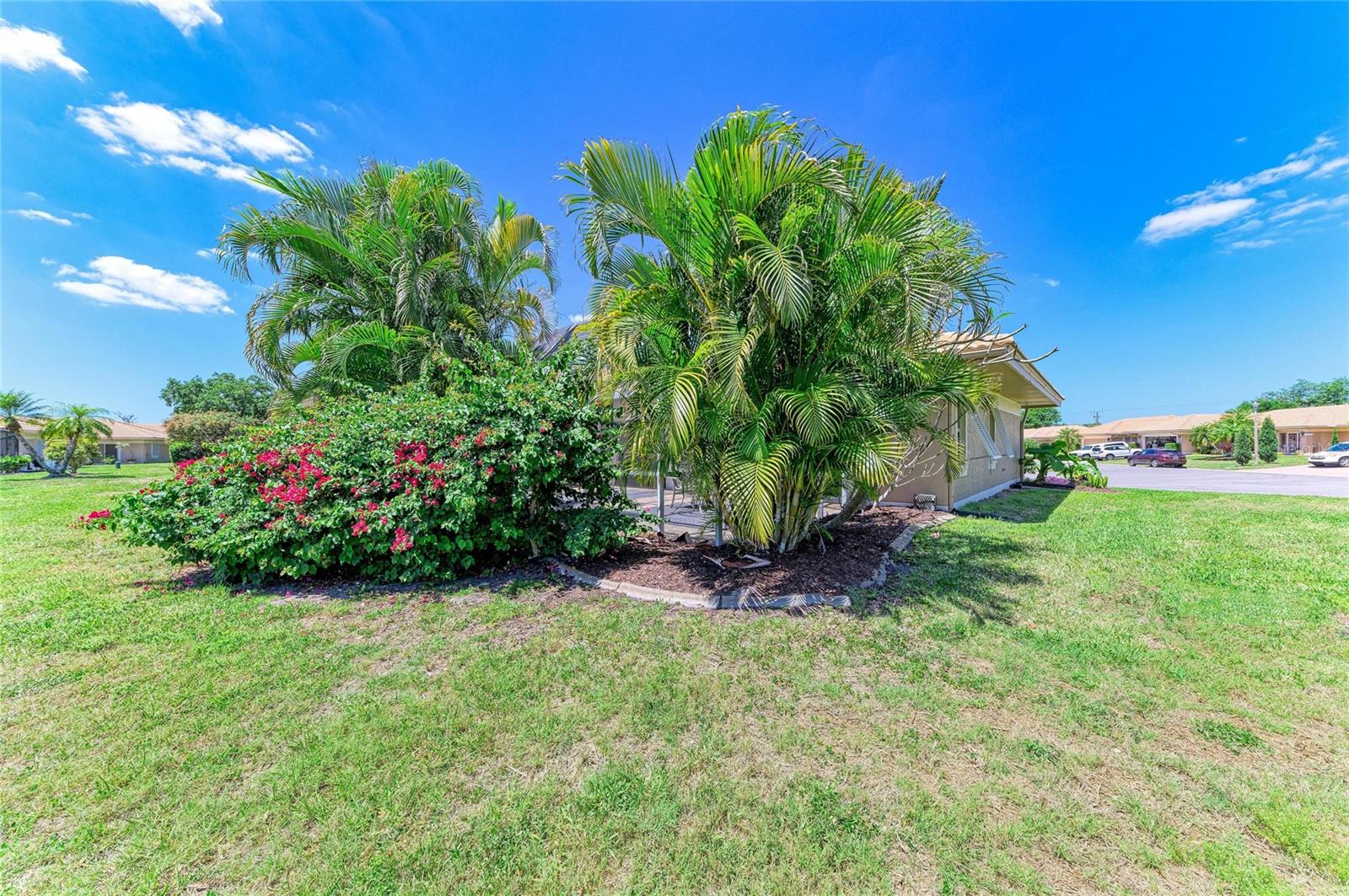 WILLOW SPRINGS - Residential