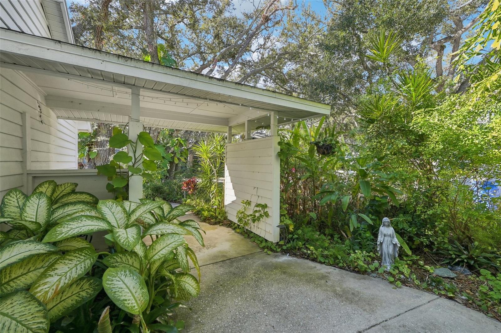 6704 ARBOR OAKS DRIVE