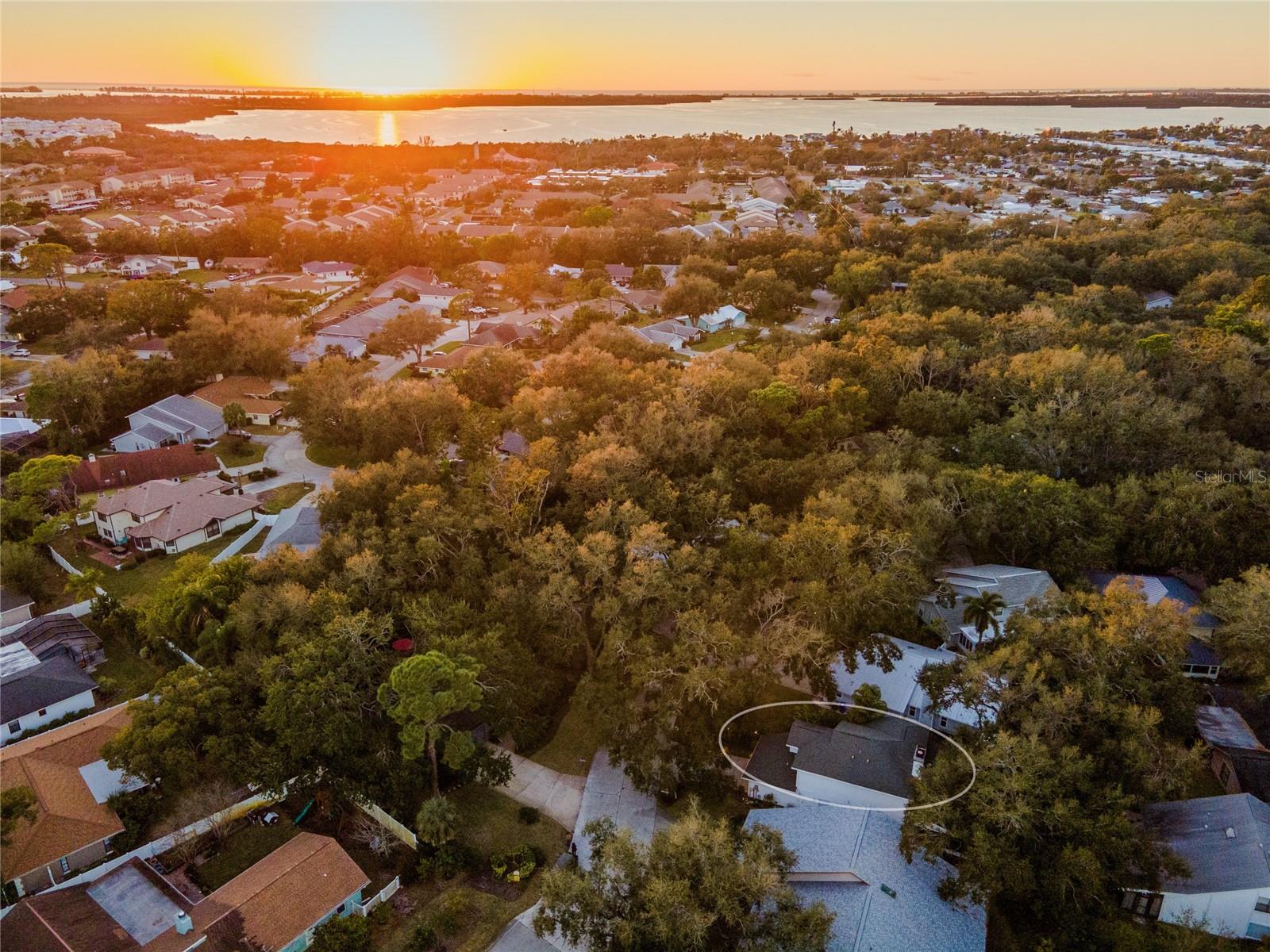 ARBOR OAKS PH 1 - Residential