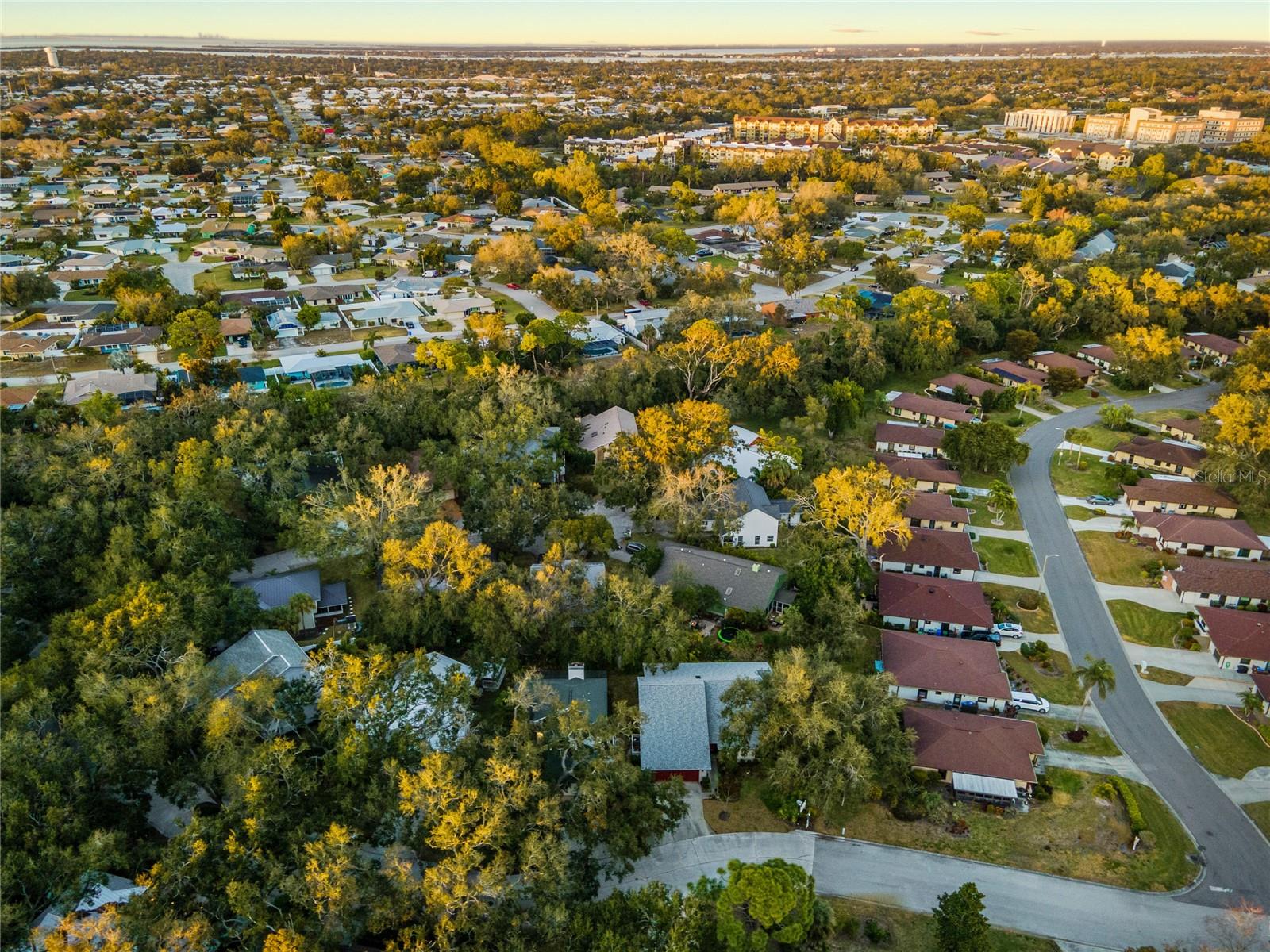 ARBOR OAKS PH 1 - Residential