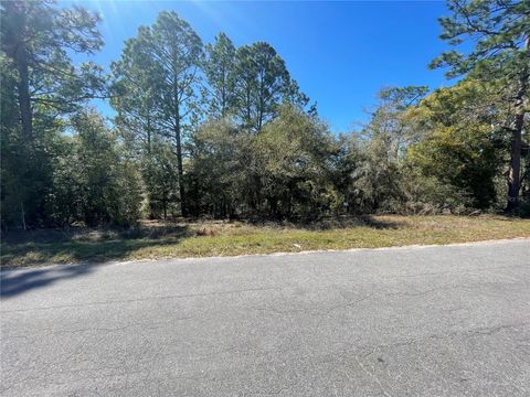 Lot 17 MALAUKA LOOP OCKLAWAHA FL 32179