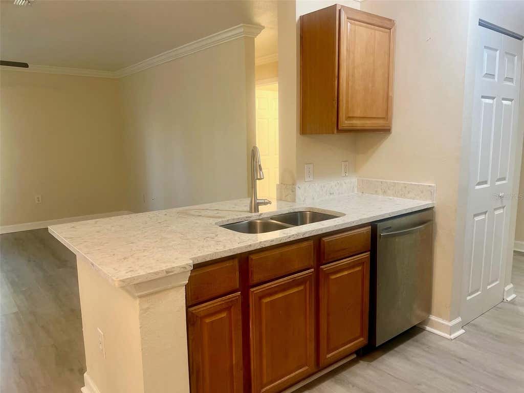 Photo of 18335 Bridle Club Drive #18335, Tampa, FL 33647 (MLS # TB8540000)