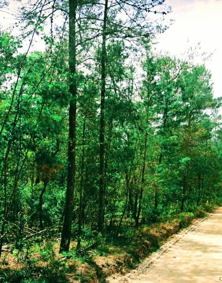 Looking for seclusion? This beautiful high and dry wooded lot is located in the desirable Lake Margaret Community. Just minutes from shopping, restaurants, medical facilities, boat ramps, Lake Margaret, Dunn's Creek State Park and more!

Don't wait on your dreams!