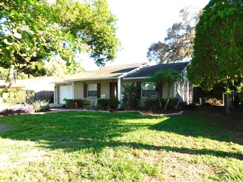 A home in ZEPHYRHILLS