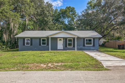 Photo of 5243 SE 114th Street, Belleview, FL 34420 (MLS # R4911130)