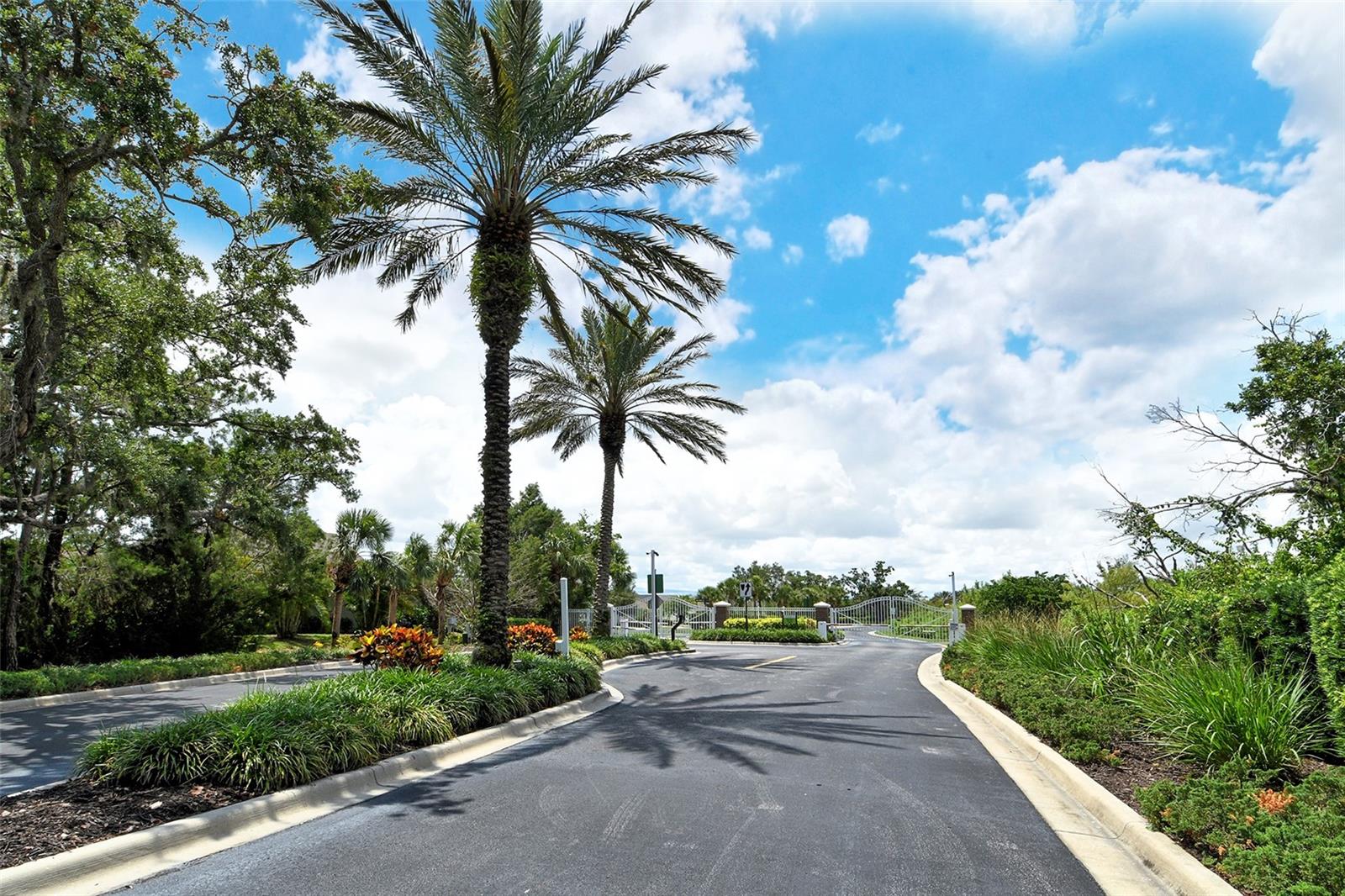 EAGLE TRACE - Residential