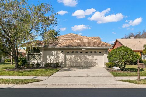 A home in PALM HARBOR