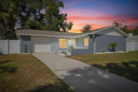 1115 PARK STREET SEFFNER FL 33584
