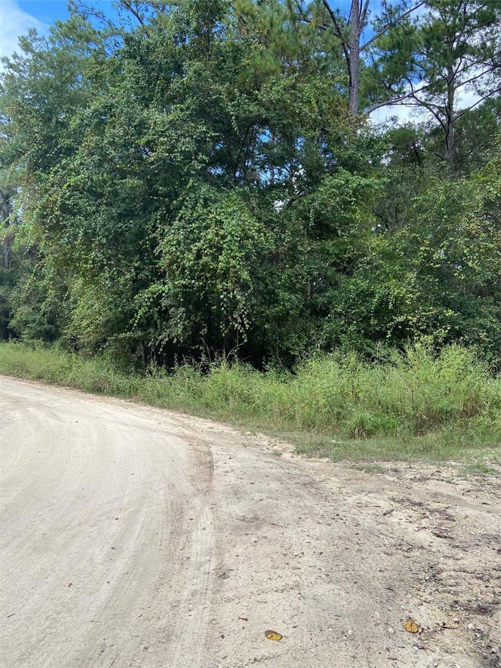 Photo of 0 SW 8th Place SW #0, Ocala, FL 34481 (MLS # TB8435254)