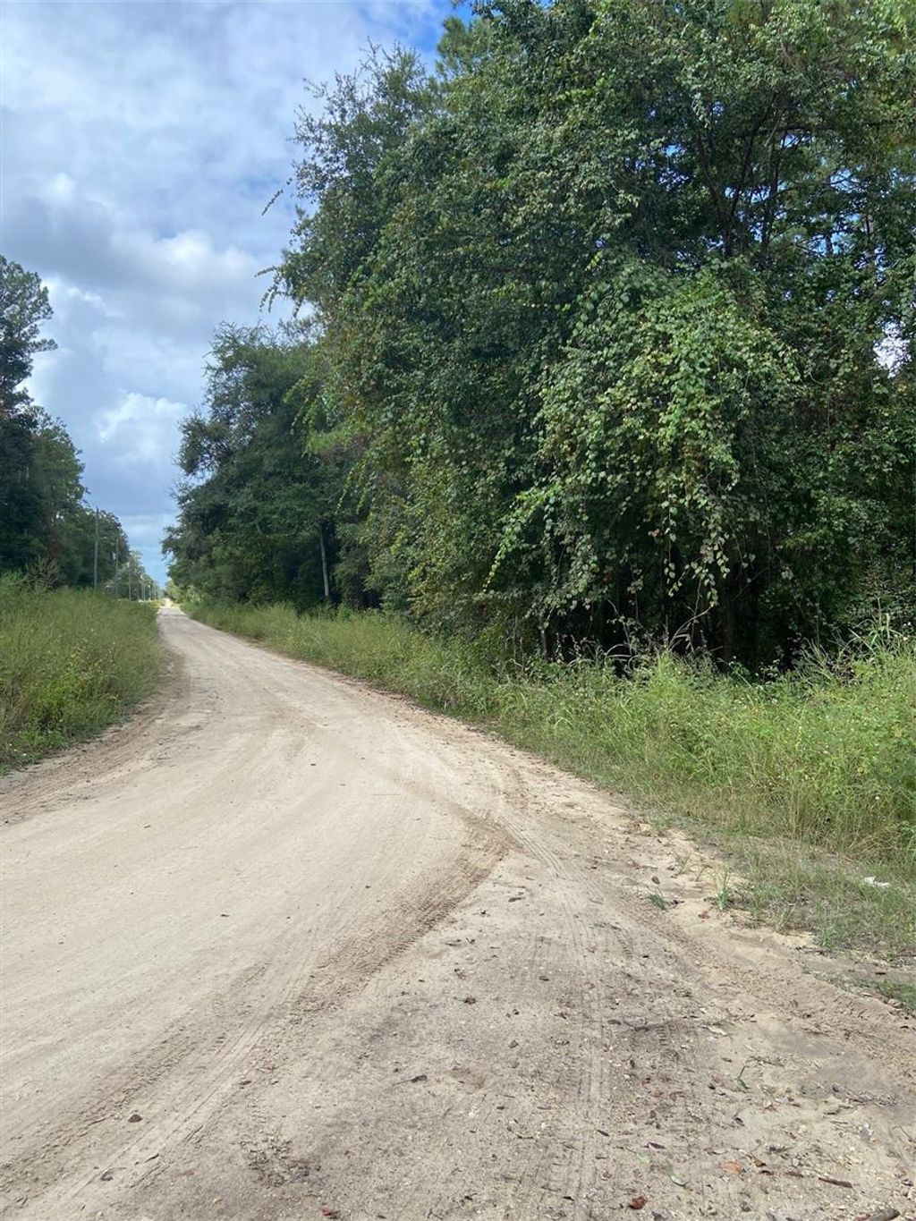 Photo of 0 SW 8th Place SW #0, Ocala, FL 34481 (MLS # TB8435254)