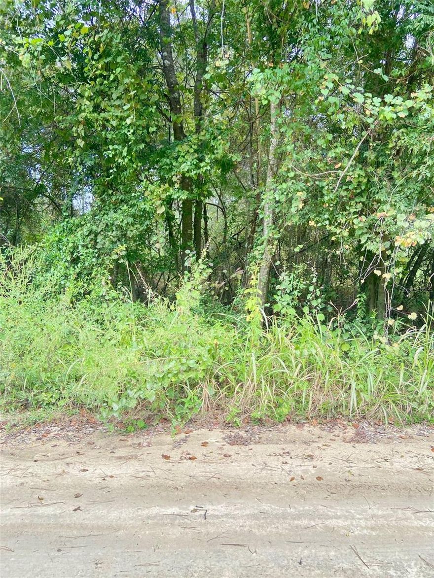 Nice Corner Lot  .70 Acre with a front Dimension of 222 feet x 135 feet deep; Three lots in one parcel! Great investment opportunity/retired country living home. This property is close to Rainbow Springs State Park, City of Dunnellon, few minutes to World Equestrian Center, about 15 minutes downtown Ocala, 25-30 minutes to Crystal River.