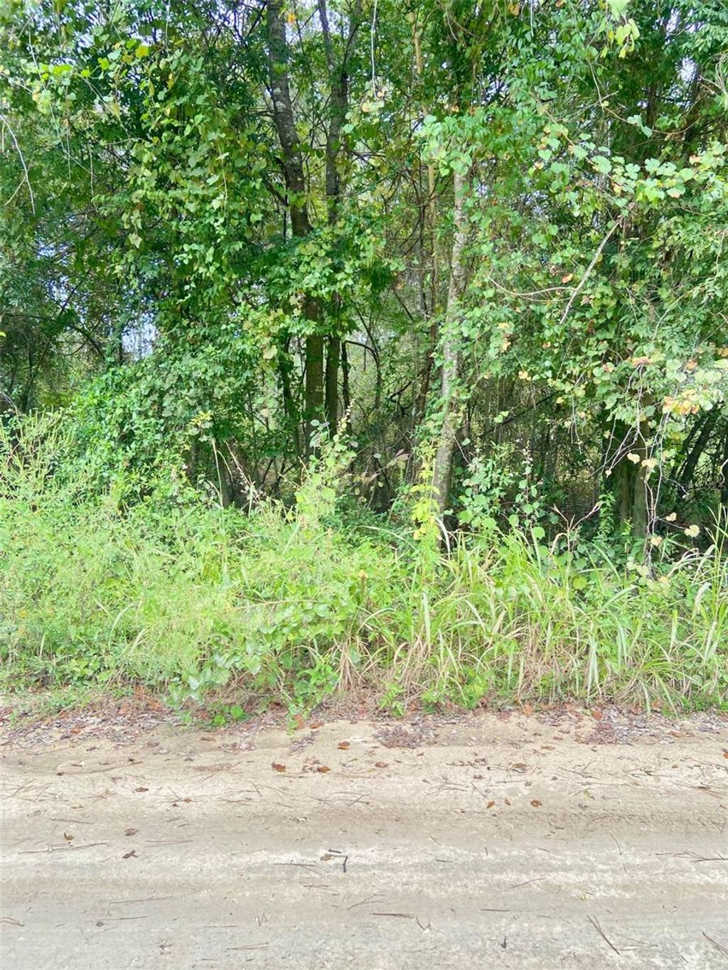 Photo of 0 SW 8th Place SW #0, Ocala, FL 34481 (MLS # TB8435254)