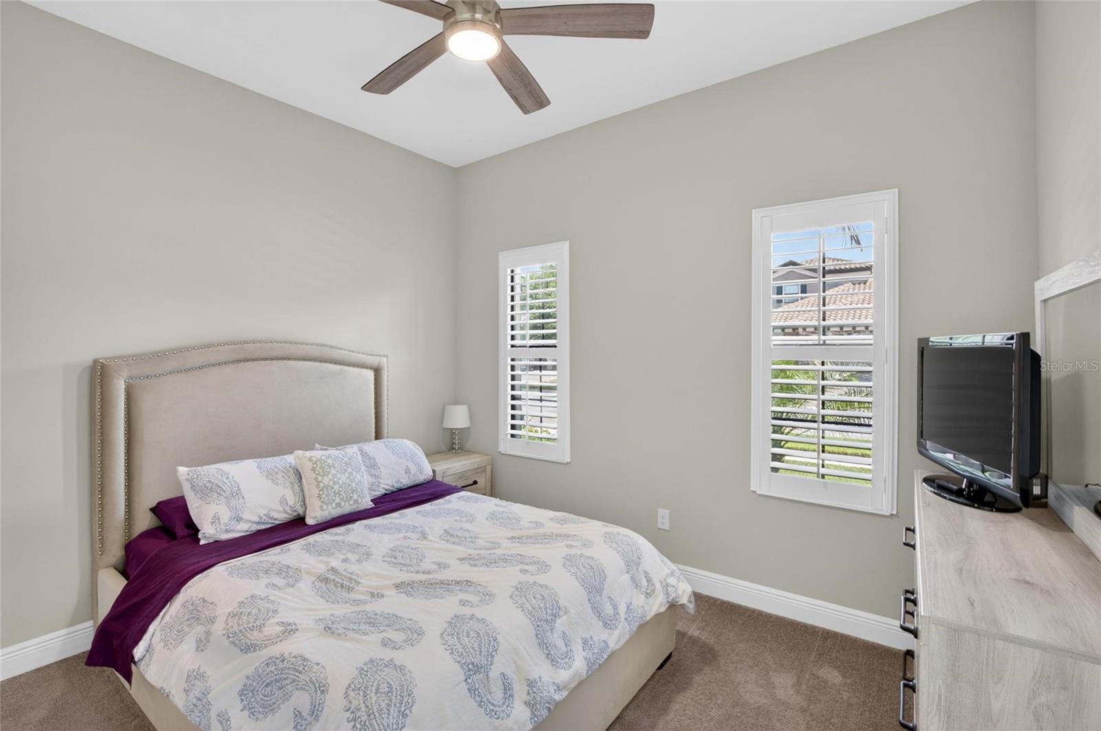 HAWKS FERN - Residential