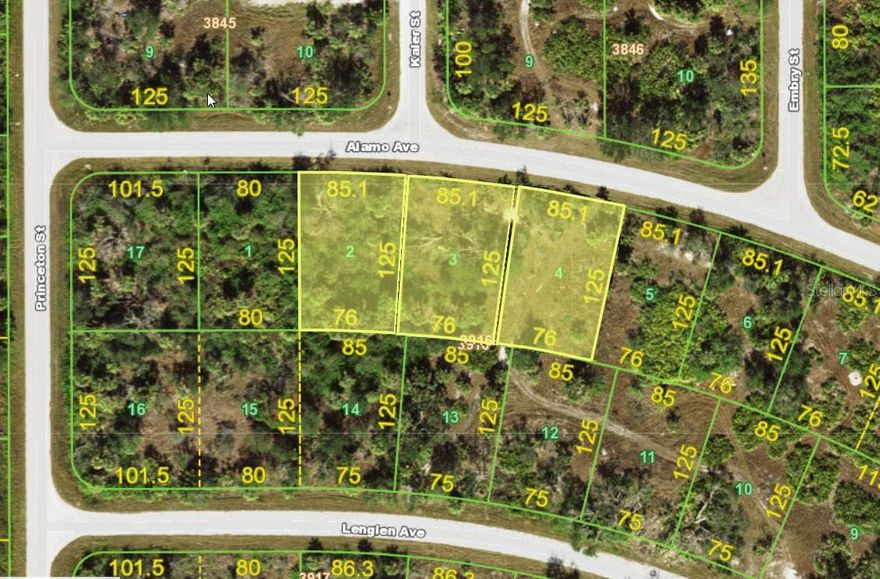 Vacant TRIPLE LOT available! Spanning approximately 30,131 square feet of prime buildable land, this rare, oversized parcel (sold as one combined property) offers an exceptional opportunity in the heart of Southwest Florida. This triple lot provides the ultimate blank canvas to create your custom dream estate, family compound, or 3 lot side-by-side 85 ft lots, builder project. Rarely does a triple lot of this size and location become available—Plenty of room for a spacious home, pool, guest house, gardens, or extra garage. Perfectly situated with quick access to everyday conveniences—shopping, dining, medical facilities, and some of the most beautiful Gulf Coast beaches. Just minutes away you’ll find Englewood Beach, Nokomis Beach (home to the famous weekly drum circles), Caspersen Beach (a shell-collector’s paradise), Venice Beach (the shark tooth capital of the world). Don’t miss your chance to secure one of the last large parcels in this highly desirable area. No Scrub Jay.