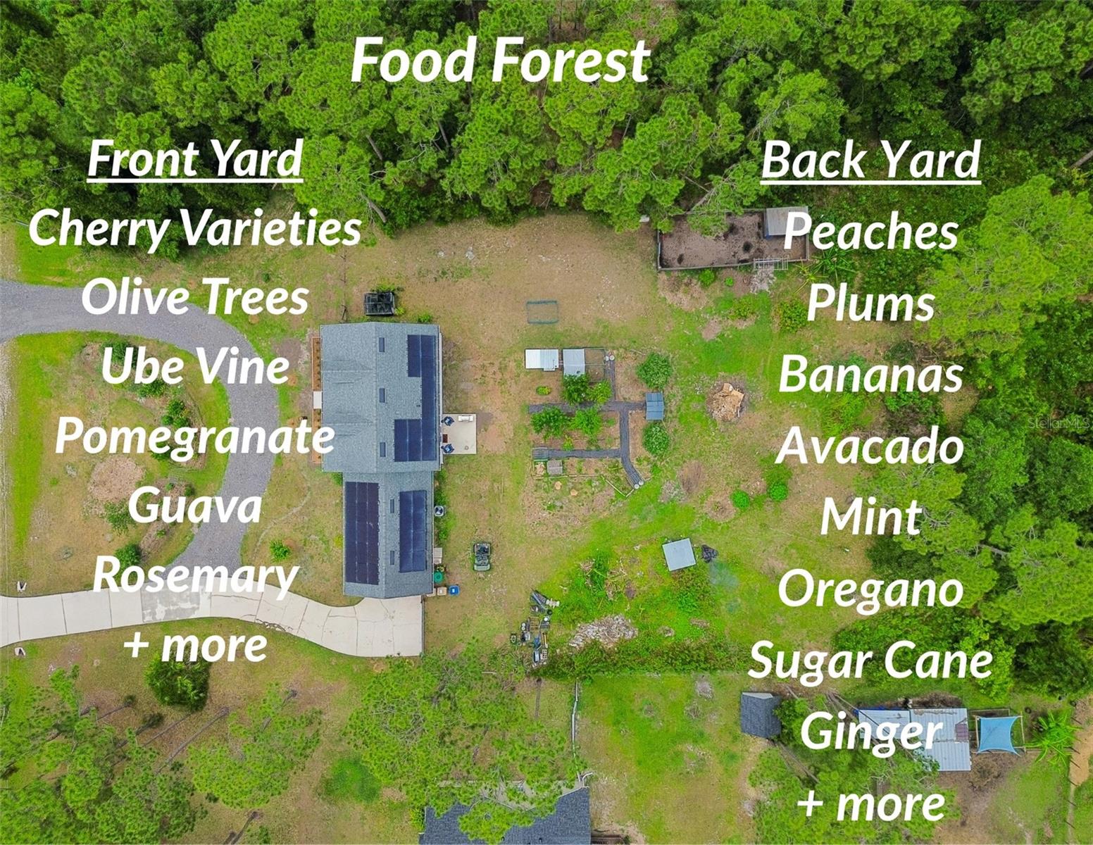 BAY LAKE RANCH UNIT 3 - Residential
