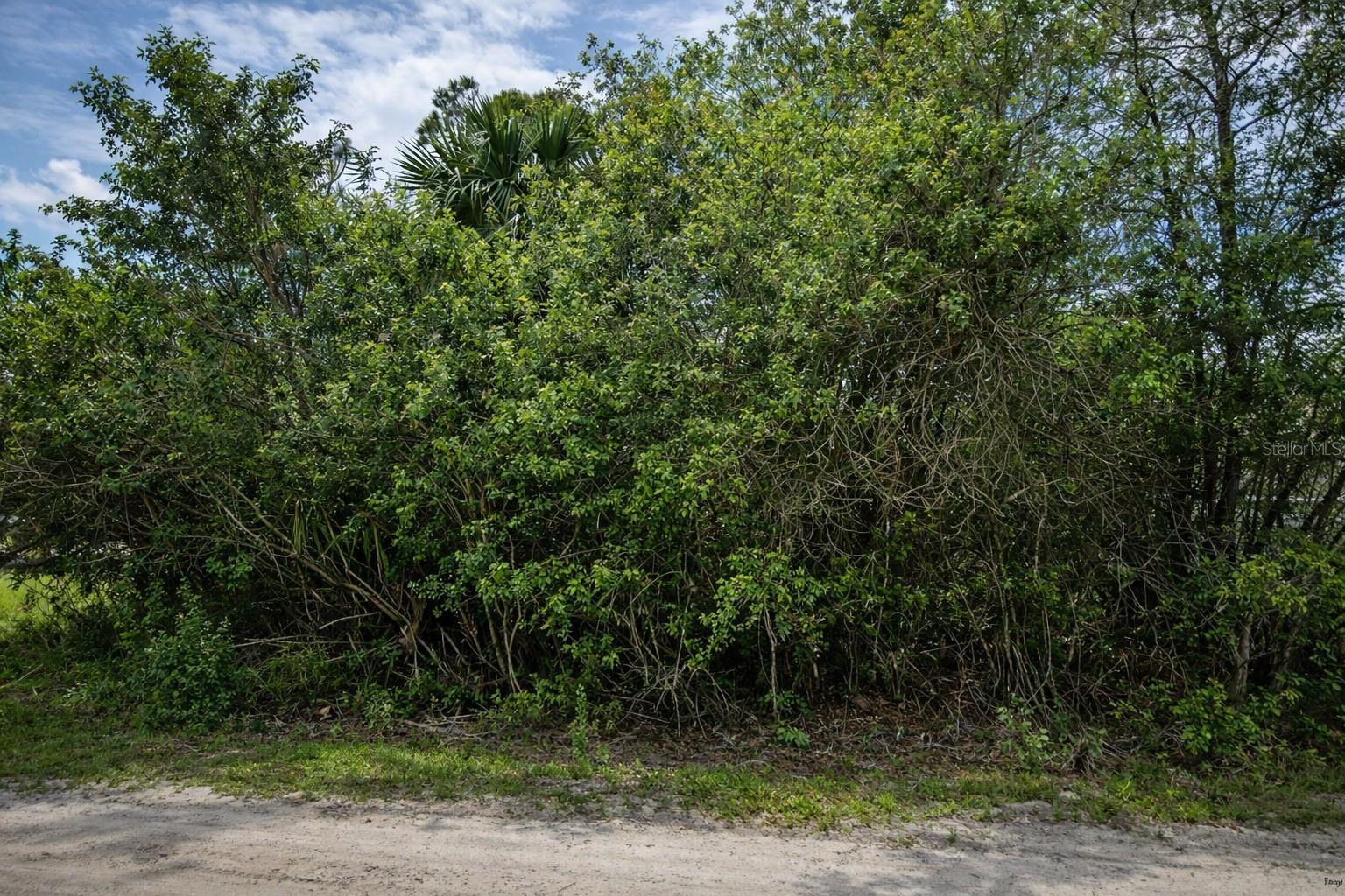 3342 FITZPATRICK AVENUE SW