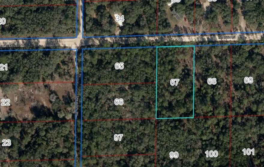 Don't miss out on the opportunity to own this charming 1.250acre lot, ideally situated for an easy commute to Gainesville. This versatile property is suitable for either a site-built home or a manufactured home, giving you the flexibility to design the perfect living space that meets your needs. With no HOA fees, you can enjoy the freedom to personalize your property without any restrictions. Additionally, the lower Levy County taxes make this an attractive investment for those looking to build their dream home in a peaceful setting.