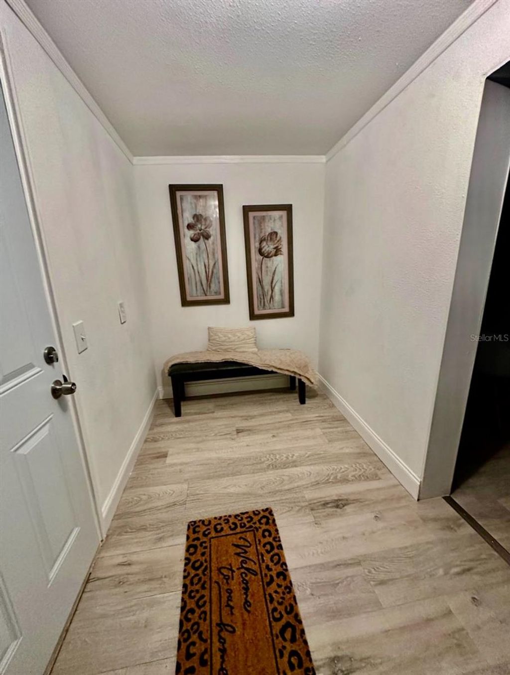 Photo of 409 2nd Avenue SW, Mulberry, FL 33860 (MLS # TB8407251)