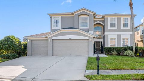 10746 FIREBRICK COURT TRINITY FL 34655