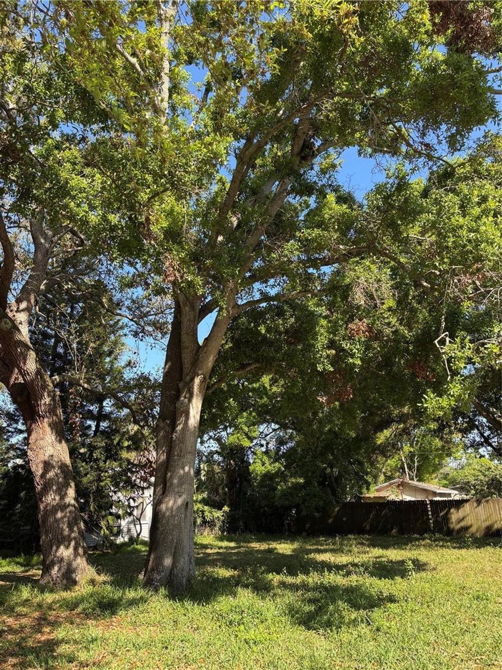 Photo of 2671 61st Avenue N, St Petersburg, FL 33714 (MLS # TB8477320)