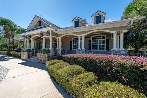 Tiny photo for 30304 Cheval Street, Mount Dora, FL 32757 (MLS # G5099259)